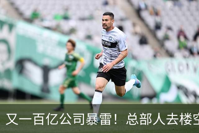 又一百亿公司暴雷！总部人去楼空，创始人失联被立案，谁来兜底？