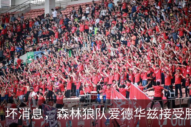 坏消息，森林狼队爱德华兹接受膝关节镜手术，将缺席两个月