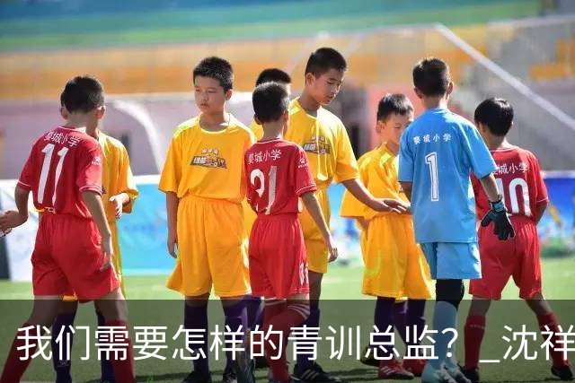 我们需要怎样的青训总监？ 沈祥福在河北的半年答卷