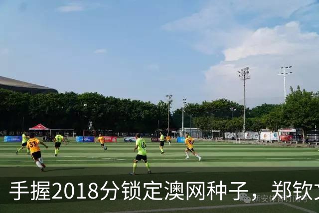 手握2018分锁定澳网种子，郑钦文为何连退四站？