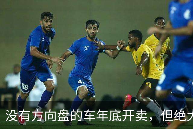 没有方向盘的车年底开卖，但绝大多数不归车主