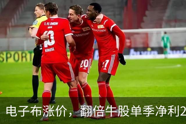 电子布涨价，翻倍牛股单季净利24亿创新高