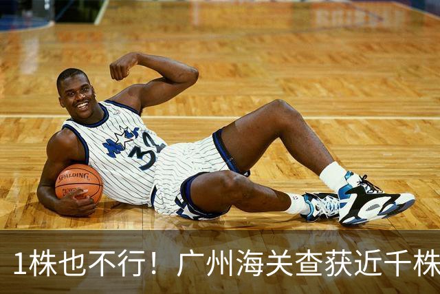 1株也不行！广州海关查获近千株盆栽，有625盆竟是“国宝级”植物
